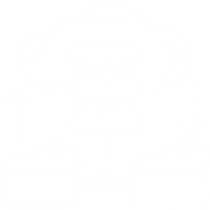 Data loss prevention