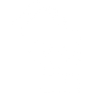 Mobile device managment